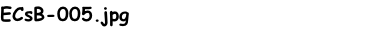 ECsB-005.jpg