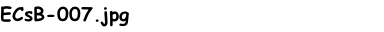 ECsB-007.jpg