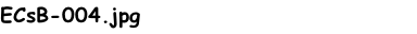 ECsB-004.jpg