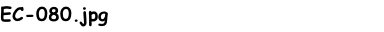 EC-080.jpg