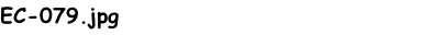 EC-079.jpg