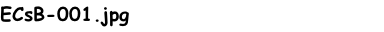 ECsB-001.jpg