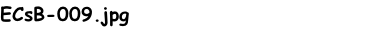 ECsB-009.jpg