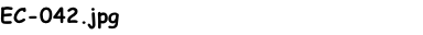 EC-042.jpg