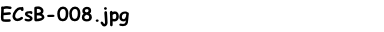 ECsB-008.jpg