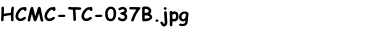 HCMC-TC-037B.jpg