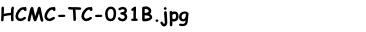 HCMC-TC-031B.jpg