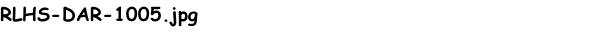 RLHS-DAR-1005.jpg