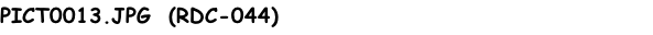 PICT0013.JPG  (RDC-044)