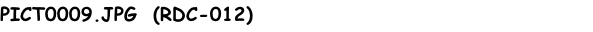 PICT0009.JPG  (RDC-012)