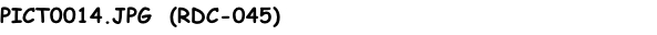 PICT0014.JPG  (RDC-045)