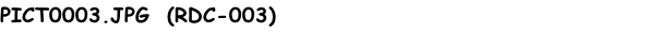 PICT0003.JPG  (RDC-003)