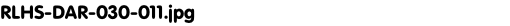 RLHS-DAR-030-011.jpg