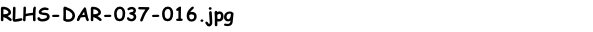 RLHS-DAR-037-016.jpg